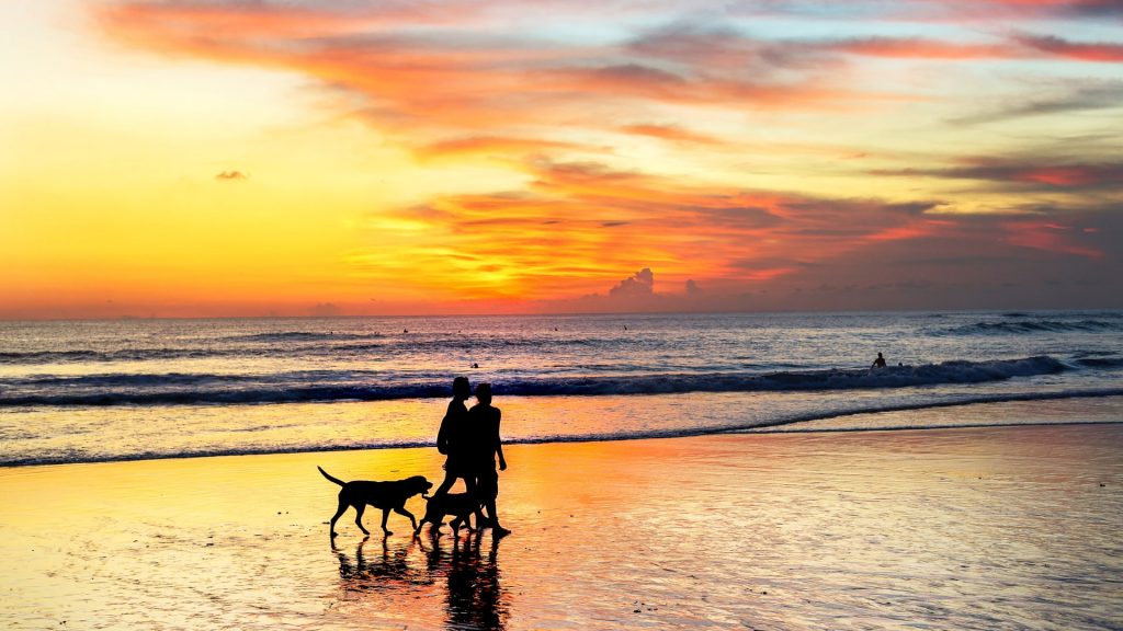 Let's Flow with Passion and Purpose