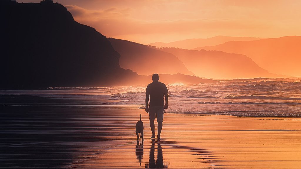 Well being man with dog on beach sunset