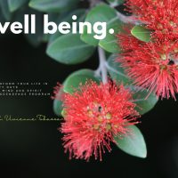 WellBeingProgramCoverOptimised WellBeingProgramCoverOptimised