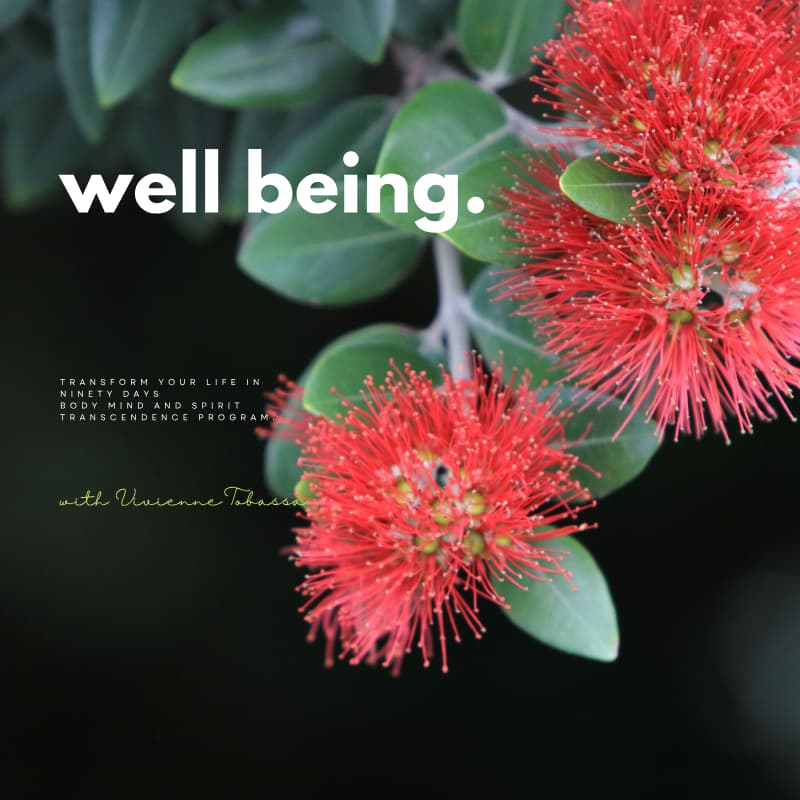 Programs well being image graph with word and pōhutukawas flowers